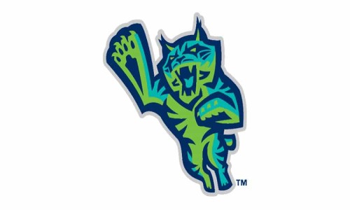 lynchburg-hillcats-min.jpg